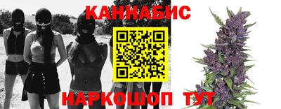 гашик Боровичи