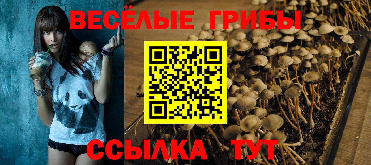 Псилоцибиновые грибы Magic Shrooms  Вход с VPN  Псилоцибиновые грибы мухоморы  Ахтубинск 